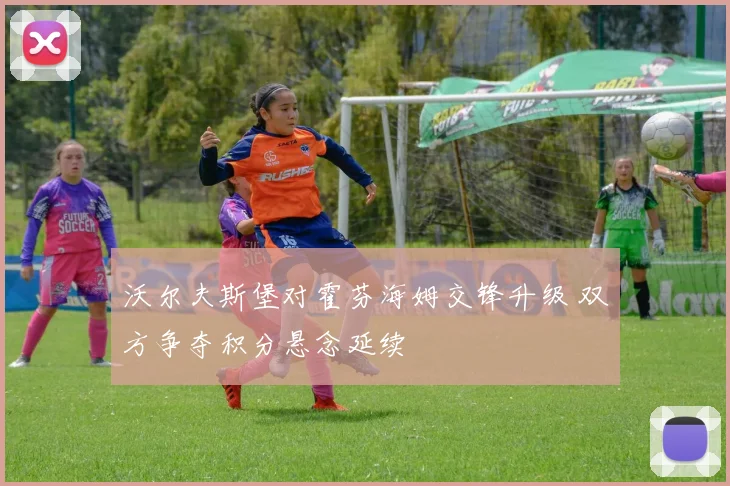 沃尔夫斯堡对霍芬海姆交锋升级 双方争夺积分悬念延续