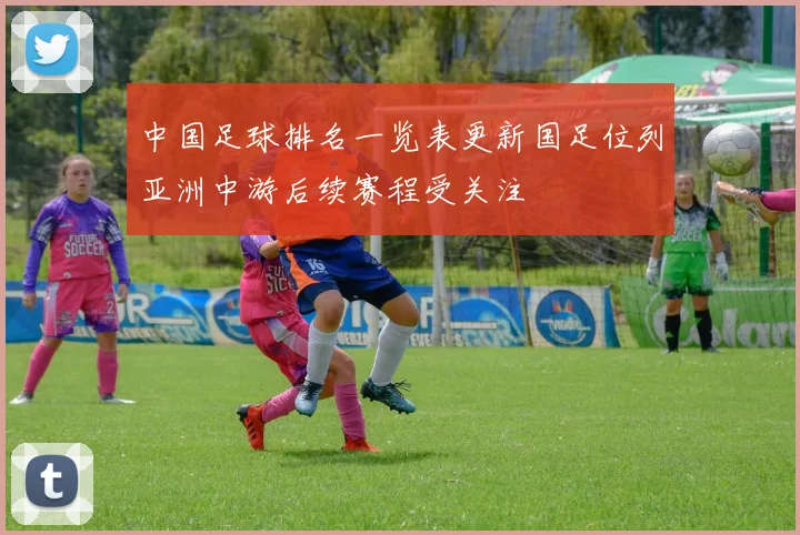 中国足球排名一览表更新国足位列亚洲中游后续赛程受关注