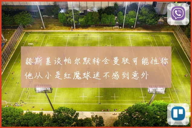 赫斯基谈帕尔默转会曼联可能性称他从小是红魔球迷不感到意外
