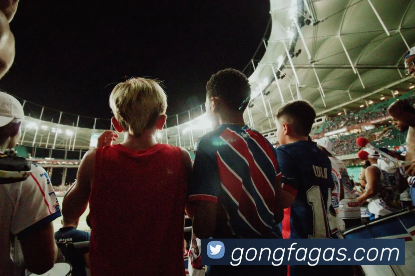 九游体育app官网登录入口平台生态图